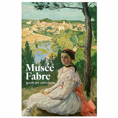 Musée Fabre Collections Guide