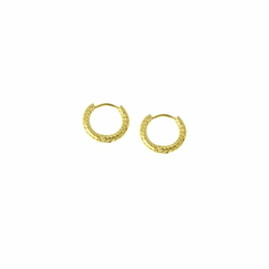 Earrings mini hoops