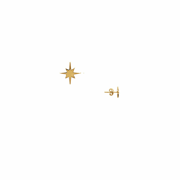 Earrings Star Gold-plated - Pierced ears