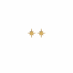 Earrings Star Gold-plated - Pierced ears