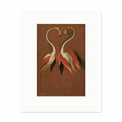 Reproduction sous Marie-Louise François Desportes - Deux flamants face à face, vers 1692-1693
