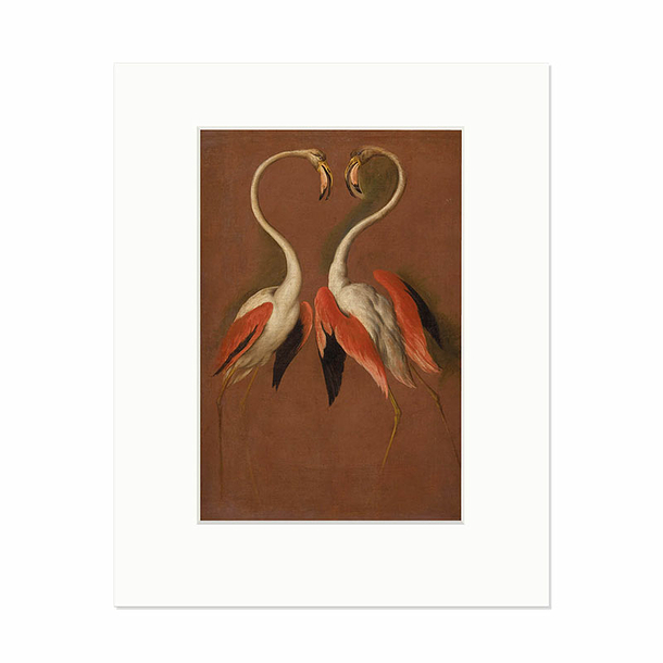 Reproduction sous Marie-Louise François Desportes - Deux flamants face à face, vers 1692-1693