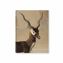 Cahier à spirale Jean-Baptiste Oudry - Trois chiens et une antilope