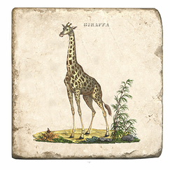 Marble Coaster Giraffe