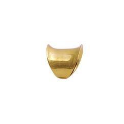 Ring of Susa - Gold-plated