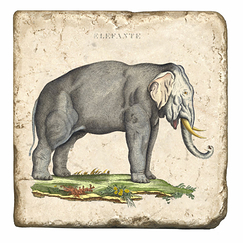 Marble coaster Elefant