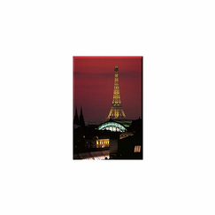 Magnet Alfred Wolf - La tour Eiffel et la verrière du musée d'Orsay depuis les toits du Louvre