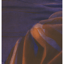 The bodice - Rosanna Lefeuvre