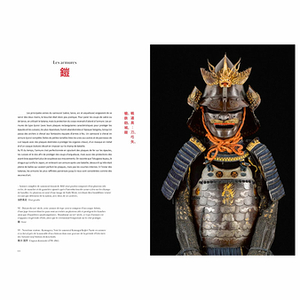 Samouraïs - De l'ukiyo-e à la culture pop