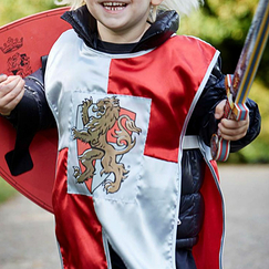 Foam Prince Lionheart Sword