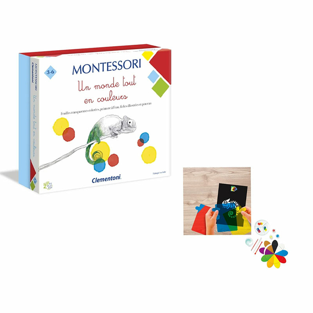 Game A colourful world - Montessori - Clementoni