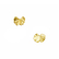 Earrings Gingko Brass with gold plated - L'Indochineur