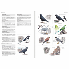 Le grand livre de la nature