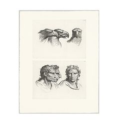 Engraving Three eagles' heads and three men's heads in relation to the eagle