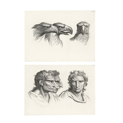 Estampe Trois têtes d'aigle et trois têtes d'hommes en relation avec l'aigle