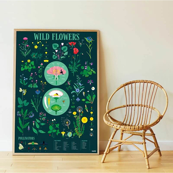 Discovery Poster + 72 stickers Flowers - Poppik