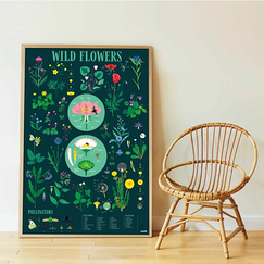 Poster pédagogique Fleurs + 72 stickers - Poppik