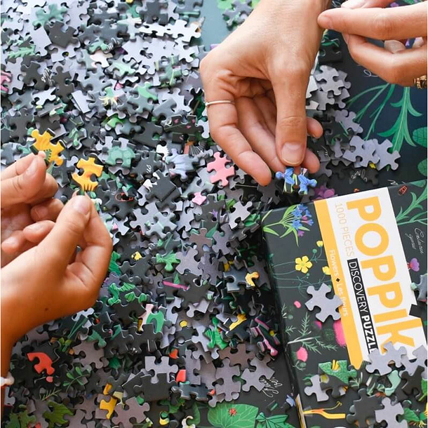 Puzzle Fleurs sauvages - 1000 pièces