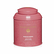 Fleur de Geisha - Thé vert parfumé - Floral & Fruité - 100g - Palais des Thés