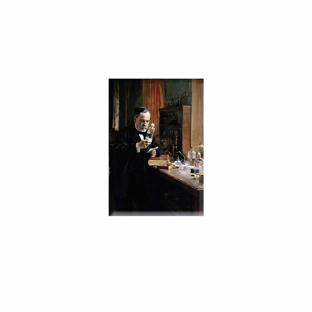 Magnet Albert Edelfelt - Portrait of Louis Pasteur, 1886