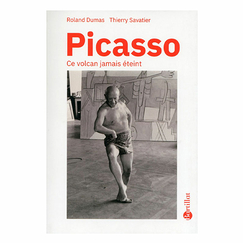 Picasso Ce volcan jamais éteint