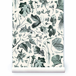 Non-woven Wallpaper Herbier du roi - Green - 270 x 53 cm - Maison Baluchon