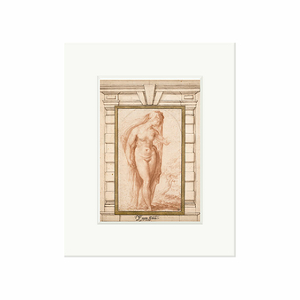 Reproduction Francesco De' Rossi, called Salviati - Veiled female nude