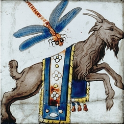 Goat and dragonfly