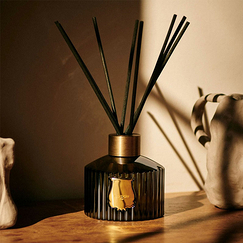 Diffuser 350 ml Abd El Kader - Trudon