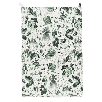 Green tea towel Herbier du roi - 72 x 48 cm - Maison Baluchon