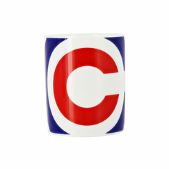 Mug Conseil Constitutionnel