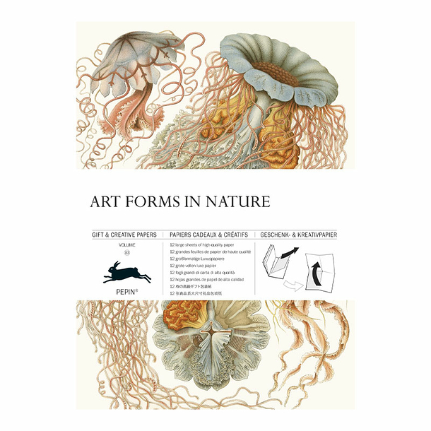 12 Feuilles de papier cadeau et créatif Art de la nature - The Pepin Press
