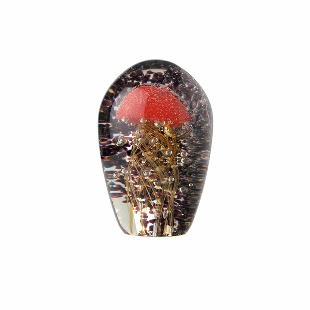 Méduse fossilisée Corail