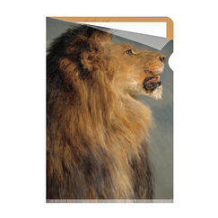 Sous-chemise Rosa Bonheur - Tête de lion - A4