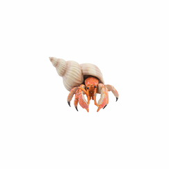 Figurine Hermit crab - Papo