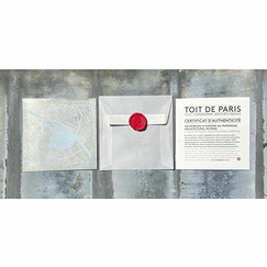 Zinc sheet Focus Paris 5th arrondissement - Toit de Paris - 12 x 12 cm