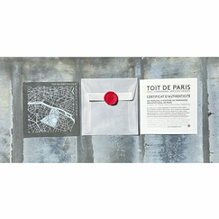 Zinc sheet Focus Paris 6th arrondissement - Toit de Paris - 12 x 12 cm