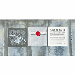 Plaque de zinc Focus Paris 6e arrondissement - Toit de Paris - 12 x 12 cm