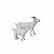 Figurine en PVC Chevreau blanc - Papo