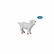 Figurine en PVC Chevreau blanc - Papo