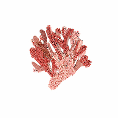 Big brooch Precious Coral - Trovelore