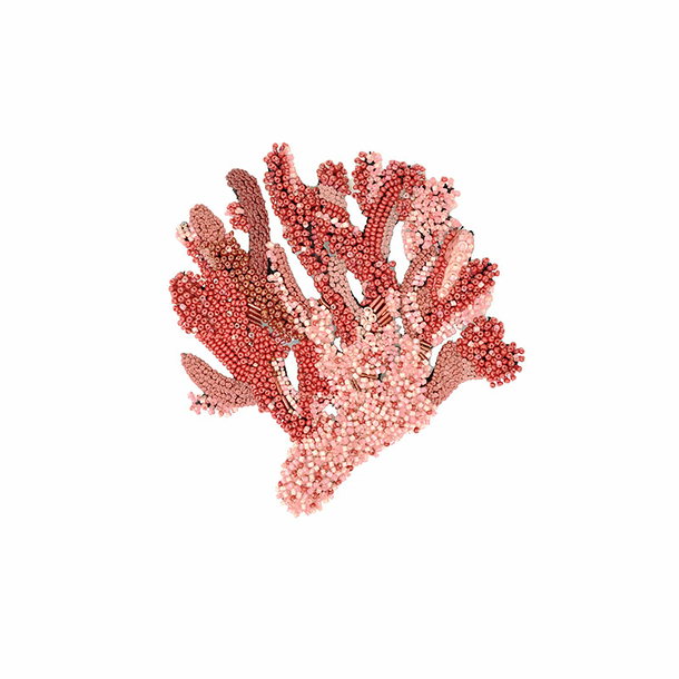 Grande broche Corail précieux - Trovelore