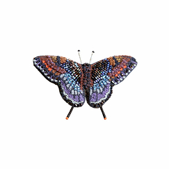 Broche Papillon violet à taches rouges - Trovelore