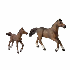 Plastic Figurine Anglo-Arab Foal - Papo
