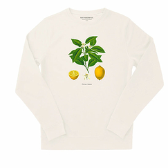 Pull crew neck unisex Citrus limon - Off white - Not Venomous.