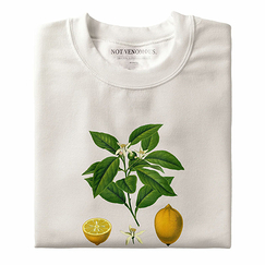 Pull crew neck unisex Citrus limon - Off white - Not Venomous.