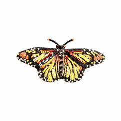 Broche Papillon Monarque - Trovelore