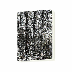 Notebook Philippe Cognée - Snowy forest 1, 2020