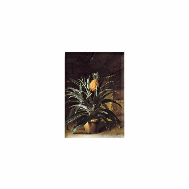 Magnet Jean-Baptiste Oudry - Ananas dans un pot, 1733