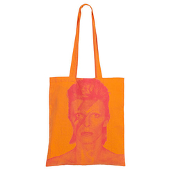 Sac David Bowie is a face in the crowd - V&A